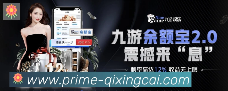 未来规划